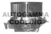 AUTOGAMMA GA20375 Interior Blower